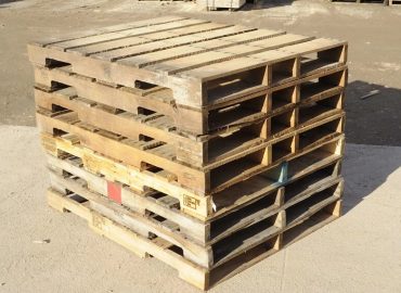 Use-this-one-1200-x-1000mm-Scallop-Pallet-Sample-Mix-2-scaled