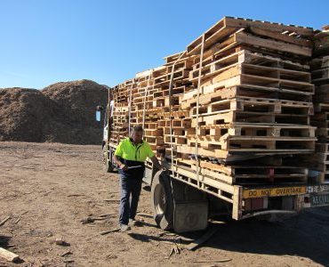 Pallets & Timber Waste